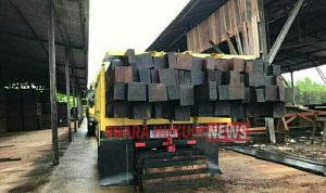 LogoLicious_20200327_130031