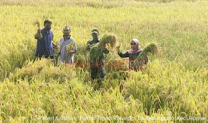 LogoLicious_20200415_150527