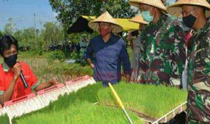 LogoLicious_20200507_075741