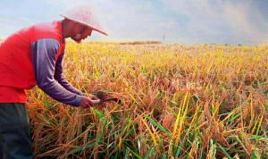 LogoLicious_20200508_211327