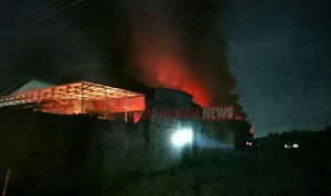 LogoLicious_20200509_073633