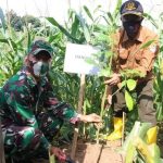 LogoLicious_20201229_132412