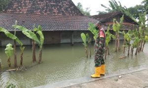 LogoLicious_20210203_173212