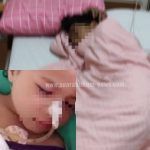 LogoLicious_20220406_095734
